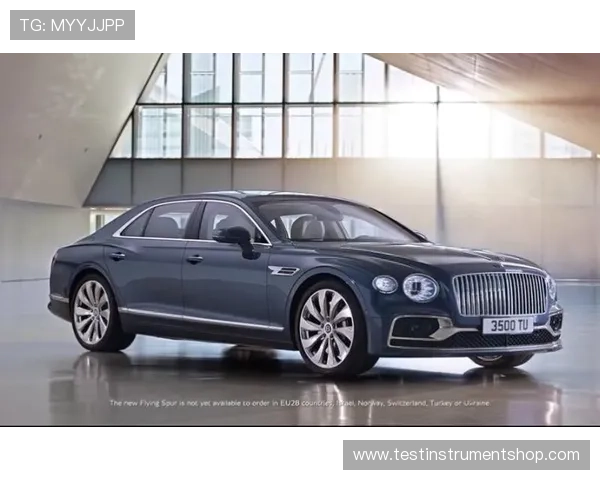 飞驰官方旗舰店：官方正品保障，确保每一辆车都是真正的豪华之选